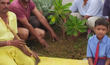 *डा श्यामा प्रसाद मुखर्जी जयंती पर रोपे गए पौधे*