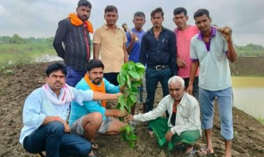 *वृक्षों को हम नहीं, हमें वृक्षों की जरूरत है" के तहत युवाओं ने किया पौधारोपण*