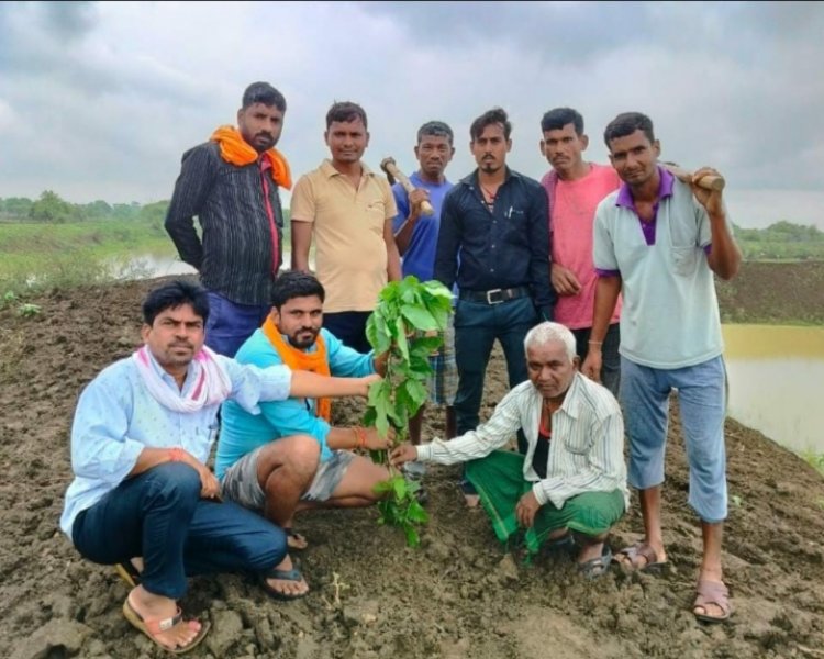 *वृक्षों को हम नहीं, हमें वृक्षों की जरूरत है" के तहत युवाओं ने किया पौधारोपण*