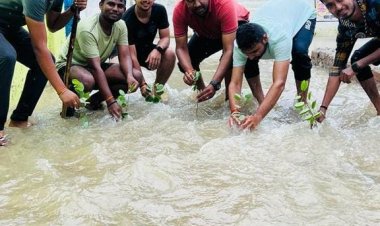 *सरकंडा क्षेत्र में हुए जलभराव को लेकर युवा मोर्चा का अनूठा प्रर्दशन*,क्रिकेट खेला,रोपाई करके किया विरोध,