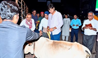 *घुमंतू मवेशियों को कांजी हाउस भेजने तथा संबंधित पशुपालकों पर अर्थदण्ड की होगी कार्यवाही - कलेक्टर*