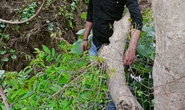 अज्ञात कारणों के चलते 22 साल के युवक ने लगाई फांसी, मौत, कारणों को तलाशने में जुटी पुलिस