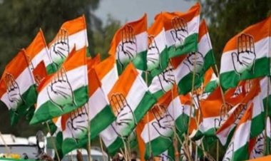 विधानसभा चुनाव में टिकट पाने जिले से कुल 345 दावेदार,सबसे ज्यादा बेलतरा से 119 तो बिलासपुर से 25- देखिए mornews