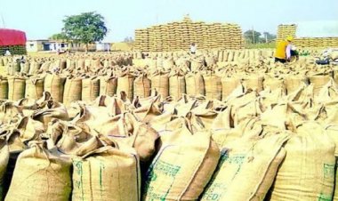 धान खरीदी 21क्विंटल प्रति एकड़ पर होगी खरीदी, सरकार ने जारी किए आदेश,देखिए कब से रहेगा पात्रता लागू