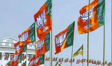 छत्तीसगढ़ भाजपा के प्रत्याशियों की एक नयी सूची हुई वायरल