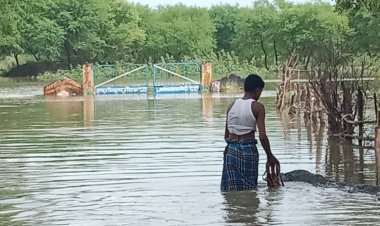 बारिश से मुसीबत टेसुवा  नदी का पानी पंहुचा गाँव तक ,  गांव हुए जलमग्न