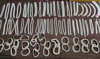 ब्रेकिंग: सरकंडा पुलिस ने चेकिंग में पकड़ा 5लाख के 7किलो चांदी के जेवरात