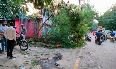 जीडीसी कॉलेज के सामने तेज रफ्तार कार ने कई युवतियों को मारी ठोकर,सभी घायल एक हालत गंभीर