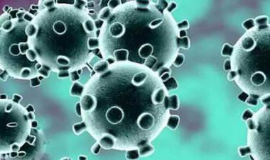 कोरोना को लेकर स्वास्थ्य विभाग अलर्ट मोड में बचाव को लेकर एडवाइजरी जारी,आज प्रदेश में पाए गए दो मरीज,सीएमएचओ ने जिले के सिम्स, जिला हॉस्पिटल के लिए दिए निर्देश