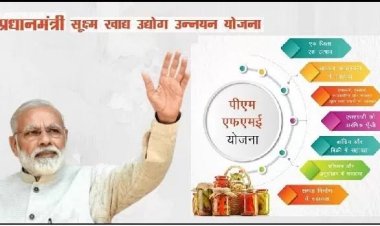 प्रधानमंत्री सूक्ष्म खाद्य उद्यम उन्नयन योजना के तहत आवेदन आमंत्रित