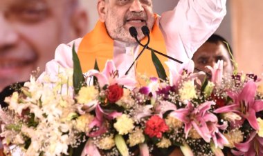 जांजगीर-चांपा में आयोजित विजय महासंकल्प रैली में बोले अमित शाह आने वाला चुनाव देश का भविष्य तय करने वाला चुनाव है