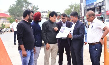 कलेक्टर ने रामसेतु पुल किया निरीक्षण,डीएमएफ मद से होगा पुल का सौंदर्यीकरण,