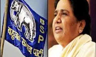 Breaking: बीएसपी ने सरगुजा,रायगढ़, बिलासपुर के लिए घोषित किया प्रत्याशी, बिलासपुर सामान्य सीट से इन्हे बनाया है प्रत्याशी