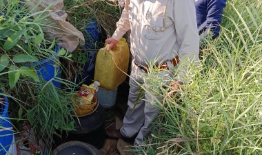 आबकारी विभाग की बड़ी कार्यवाही 35 लीटर कच्ची अवैध शराब के साथ 400 की. ग्रा. महुआ जप्त