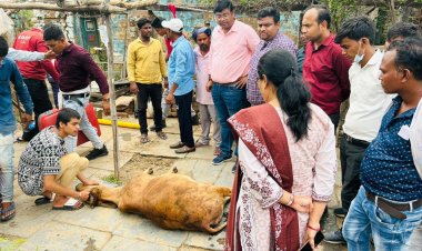 *60 फीट गहरे सूखे कुएं में गिरी गाय को निकाला गया सुरक्षित बाहर