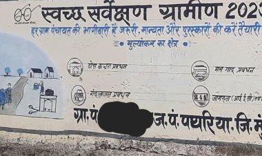स्वच्छता सर्वे लेखन कार्य के नाम पर पंचायत को चुना लगा रहा चित्रकार  प्रशासन के आदेश बताकर सरपंच सचिव, को थमाया जा रहा हजारों की बिल