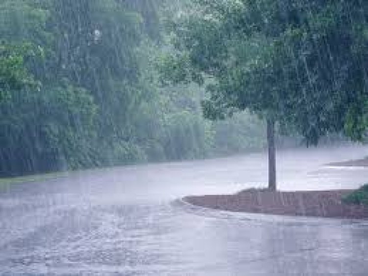 जिले में 16.2 मि.मी. औसत वर्षा दर्ज,सबसे अधिक मस्तूरी तहसील में हुई बारिश