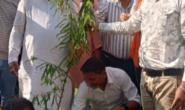 प्रधानमंत्री के जागरूकता संदेश "एक पेड़ मां के नाम" के तौर पर डीएवी स्कुल मे विधायक धरम लाल कौशिक ने किया वृक्षारोपण