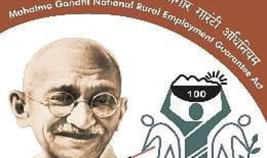 *मनरेगा कार्य में अनियमितता एवं लापरवाही - रोजगार सहायक को पद से किया गया पृथक