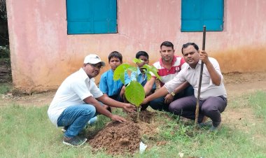 शासकीय प्राथमिक शाला मे किया गया पौधारोपण