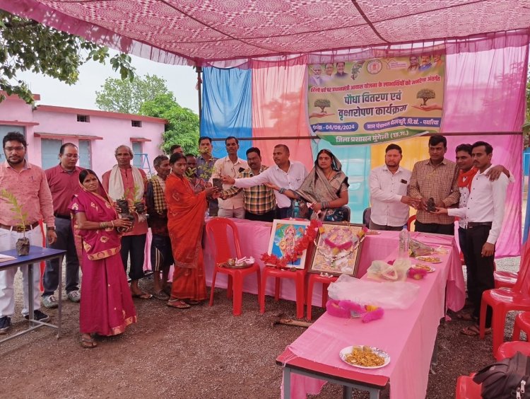 हरेली त्यौहार के अवशर पर ग्राम पंचायत मे किया वृक्षारोपण कार्यक्रम