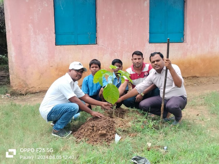 शासकीय प्राथमिक शाला मे किया गया पौधारोपण