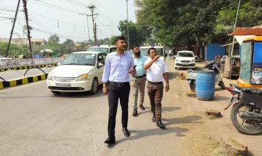 सड़क किनारे हरे भरे पेड़ों की कटाई, कलेक्टर ने  लिया संज्ञान,मामले मे एफआईआर दर्ज *