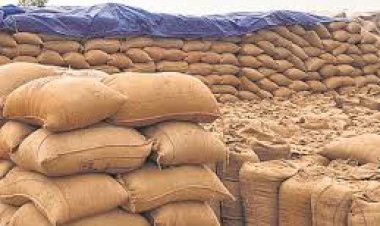 *धान पंजीयन में तकनीकी सुधार,किसानों के लिए बड़ी राहत ,तकनीकी समस्याओं के समाधान के लिए हेल्प डेस्क नंबर जारी*।  भुइयां और पीवी ऐप से सुधार की मिली सुविधा, किसानों को नहीं करनी होगी प्रतीक्षा