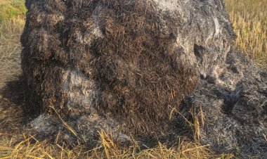 खलिहान में रखे धान की खरही में लगी आग, लाखो रूपये का नुकशान