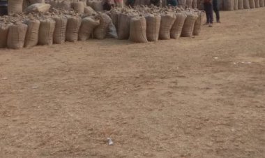 *समर्थन मूल्य पर धान बिक्री करने किसान हुए परेशान,कई किसानों के खाते का रकबा कम तो कई किसानों के फसल विवरण पत्र में धान के स्थान पर निरंक किया गया*