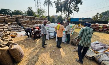 जिले में अब तक 03 लाख 44 हजार 915 क्विंटल धान की खरीदी