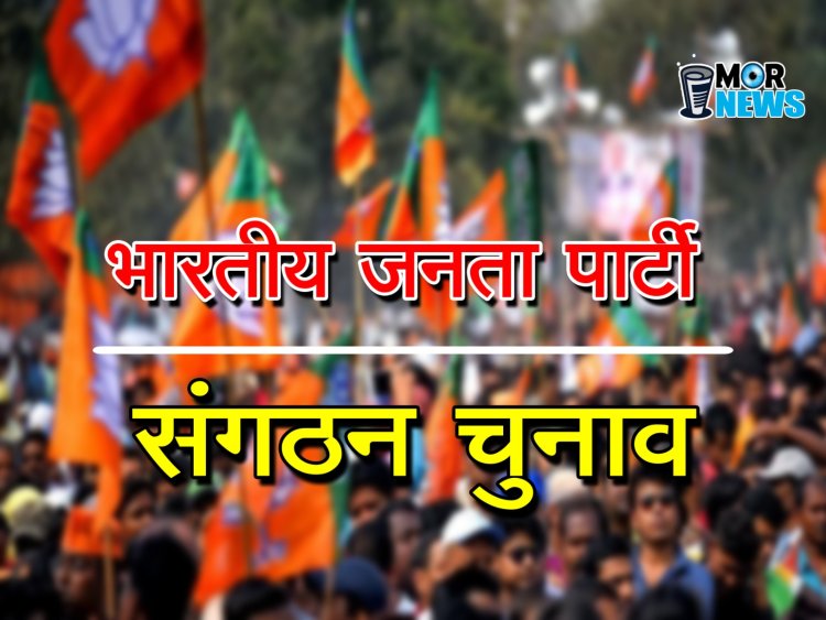 *Bjp में नियुक्ति: दर्जन भर से ज्यादा भाजपा मंडल अध्यक्षों की नियुक्ति, बनाए गए जिला प्रतिनिधि*