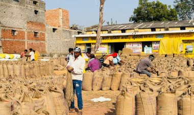 *जिले में अब तक 23 लाख क्विंटल से अधिक धान की हुई खरीदी*  *04 लाख क्विंटल से अधिक का उठाव