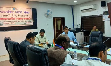 *कलेक्टर की अध्यक्षता में जिला स्तरीय परामर्शदात्री समिति की बैठक,ऋण प्रकरणों के निराकरण में धीमी प्रगति पर जताई गहरी नाराज़गी*