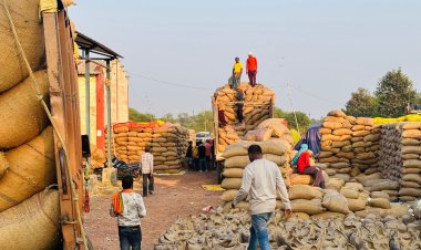 अब तक 33 लाख 64 हजार क्विंटल से अधिक धान की खरीदी