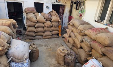 *फिर कार्रवाई,94 क्विंटल अवैध रूप से भंडारित धान जब्त*