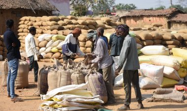 *जिले में 31 जनवरी तक सवा लाख किसानों से 6.90 लाख मीट्रिक टन धान की खरीदी: कोचियों और दलालों के विरुद्ध 77 कार्रवाई,1 करोड़ रुपए का 2906 क्विंटल धान जब्त*