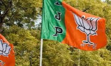 *भारतीय जनता पार्टी के इस मंडल में प्रभारी,संयोजक, सह संयोजक की घोषणा: देखिए सूची*