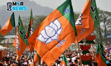 *Bjp में नियुक्ति: पूर्व विधायक एवं भाजपा नेताओं को मिली जिम्मेदारी, भारतीय जनता पार्टी में संगठनात्मक नियुक्ति ! देखिए सूची*