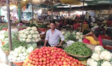 *80 रुपए किलो तक बिकने वाला टमाटर अब 5 रुपए,हरी सब्जियों के दाम हुए कम, किसान परेशान, आधी रह गईं कीमतें*