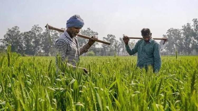 *प्रदेश सरकार द्वारा किसानों के लिए बनेगा किसान कार्ड*: कृषि भूमि के आधार से होगा लिंक