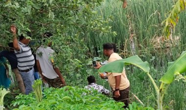 पथरिया,,,, ब्रेकिंग  धारदार हथियार से की युवक की हत्या,,,, हत्या का कारण अज्ञात