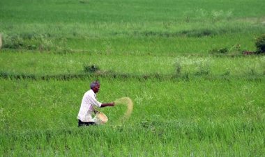 *फसल बीमा कराने कल से समितियों में लगेंगे शिविर,एक साथ मिलेंगे ग्रामीण स्तर के सभी अधिकारी,कलेक्टर ने किसानों से की बीमा कराने की अपील* 