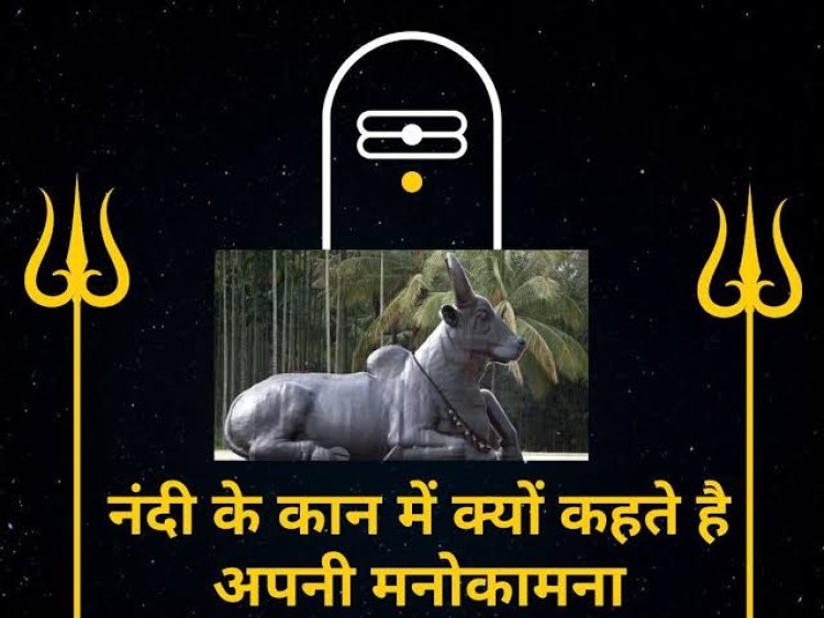 *नंदी के कान में क्यों बोली जाती है मनोकामना ? जाने कैसे हुआ नन्दी का पादुर्भाव,जानिए इसके पीछे का रहस्य*