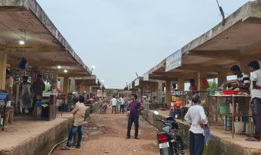 नगर के चिकन और मीट मार्केट एक जगह हुआ व्यवस्थित , कलेक्टर के निर्देश पर हुई कार्यवाही