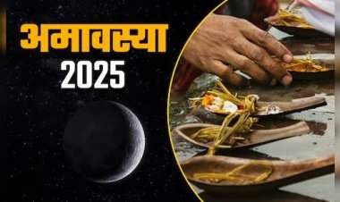 *कुशोत्पाटनी अमावस्या 23 अगस्त पर विशेष, कुश / कुशा ( दर्भ )  कुश की पवित्री पहनना जरूरी क्यों ? जानिए*