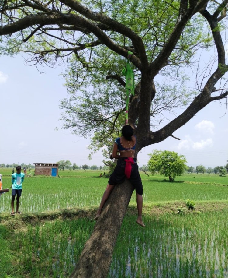 बबूल पेड़ में फांसी के फंदे पर लटकती मिली महिला की लाश, पुलिस जाँच मे जुटी