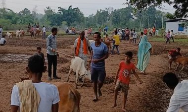 ग्राम धरदेई की अनोखी पहल – गौ सेवा और सामाजिक सुधार का संगम