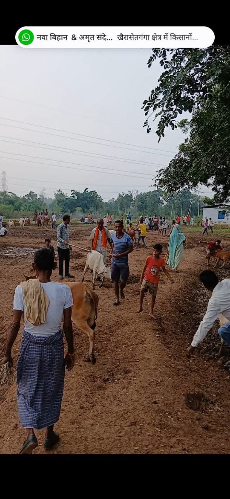 ग्राम धरदेई की अनोखी पहल – गौ सेवा और सामाजिक सुधार का संगम