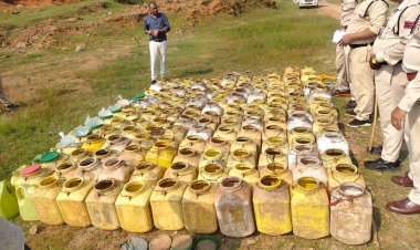 *आबकारी विभाग की कार्रवाई*  *07 लीटर कच्ची महुआ शराब और 2250 किग्रा महुआ लाहन जब्त